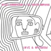 Davey Woodward And The Wint... - Love And Optimism (Black Coloured) (LP)