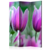 artgeist Paravan Purple Spring Tulips, 3-Delni, Dvostranski