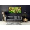 tulup.si Slika na steklu Aquarium fish rastline 140x70 cm 2 obešalnika