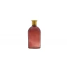 Chaks Steklena vaza Mini Rosy - Temno rdeča 6,5 x 13 cm