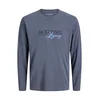 Jack & Jones Junior Majica JJJADE svetlo modra/bazaltno siva/črna