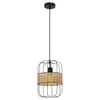Rabalux Indiana, metal Visilica lampa, E27 1x MAX40W, mat crna