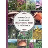 Priručnik za branje lekovitog bilja i pečuraka