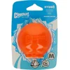 CHUCKIT HYDROFREEZE BALL M