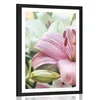 Plakat s paspartujem rožnata cvetoča dalija - 40x60 no frame