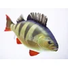 Riba - igrača GABY The Perch 50 cm - ostriž | GP-175051