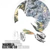 Magnolia Electric Co. - What Comes After The Blues (Reissue) (LP)