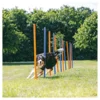 Trixie Agility prepreke, 12 kom