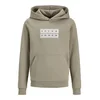 Jack & Jones Junior Majica JCOFusion svetlo siva/jelka/pastelno zelena