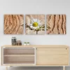 WallXpert slika na platnu od 3 dela PDR74736, bele tratinčice na drvenoj podlozi, 30 x 90 cm