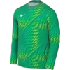 Nike Dres z dolgimi rokavi Dri-FIT Gardien VI Goalkeeper Long Sleeve