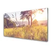 tulup.si Slika na steklu Grass tree travnik narava 120x60 cm 2 obešalnika