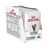 Royal Canin veterinarska dijeta Diabetic Cat 12x85g