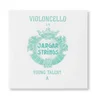 Struna A 1/4 Jargar young talent medium 638.956