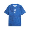 PUMA Olympique de Marseille Warm-Up Jersey Men, Sport, Royal/White, XXL