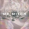 Mr. Mitch - Parallel Memories (2 LP)