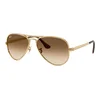 Ray-Ban RB3925 001/51