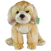 Rappa Plišast pes labradorec 27 cm EKO-prijazno