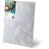 Massido Paint by Numbers Kit - 40x50 cm Parrots by Massido, (21738657)