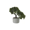 BONSAI