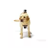 Nosač GoPro kamere za pse