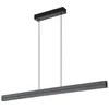 Rabalux 72058 - LED luster na sajli FAYRO LED/19W/230V 4000K crna