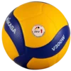Mikasa V300W-DVV1 Match
