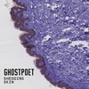 Ghostpoet - Shedding Skin (LP)
