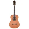 Prodipe Prodipe Guitars Recital 300 4/4 klasična kitara