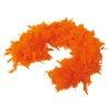 Guirca Boa oranžna