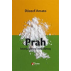Prah - istorija sitnog i nevidljivog