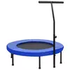 Den Fitnes trampolin z ročajem in varnostno oblogo 102 cm