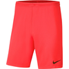 Nike Hlače rdeča 173 - 177 cm/S Dry Park Iii