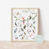 Its a moms world Edukativni poster za decu sa ramom Insekti A3, 3D