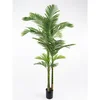 Lilium drvo palma 1x3 190cm 567325