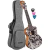 CASCHA Concert Ukulele Sketch incl.bag HH-2605