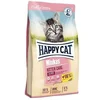 Happy Cat | Minkas Kitten