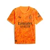 Mens Puma AC Milan 25/26 Goalkeeper Jersey, Orange, Size XL, Sport