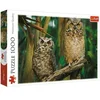 Puzzle Owls