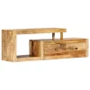 vidaXL TV omarica 120x30x40 cm trden mangov les
