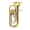 Euphonium Bb EP-301 Roy Benson RB701.469