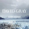 David Gray - Life In Slow Motion (Deluxe 20th Anniversary Edition) (Blue Coloured) (2 LP)