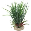 GB AKV. RASTLINA FAN GRASS 30CM