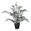 Modern Living Umetna Rastlina Eucalypthus Ii -Ext- -Paz-