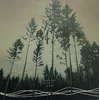 Wouter Dewit - Hold (LP)