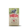 Carnilove Dog True Fresh Junior Large, briketi - raca 4 kg