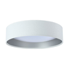LED plafonsko svetlo GALAXY LED/24W/230V belo/srebrno