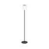 Eglo 901899-LED Solarna stojeća lampa SCORDIANO LED/2,3W/3,7V 1800mAh IP44 crna