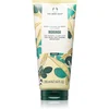 The Body Shop Moringa Body Lotion, Losion za telo Kreme i losioni za telo