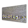 tulup.si Slika na akrilnem steklu Daisy rastlin narava 100x50 cm 4 obešalnika